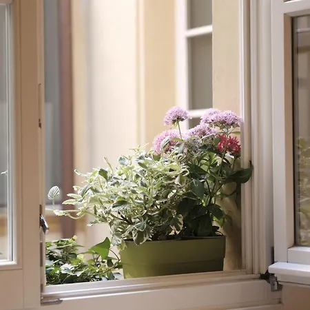 Casa Claire - Experience The Historic Center On Foot *
